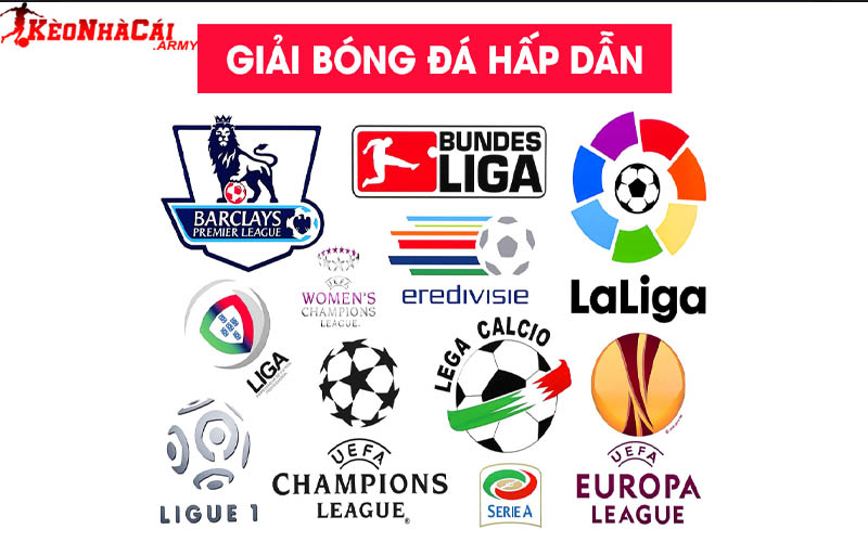 Các giải đấu được phát sóng thường niên